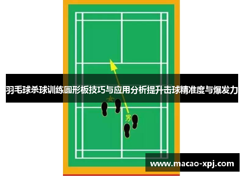 羽毛球杀球训练圆形板技巧与应用分析提升击球精准度与爆发力