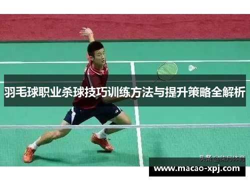 羽毛球职业杀球技巧训练方法与提升策略全解析